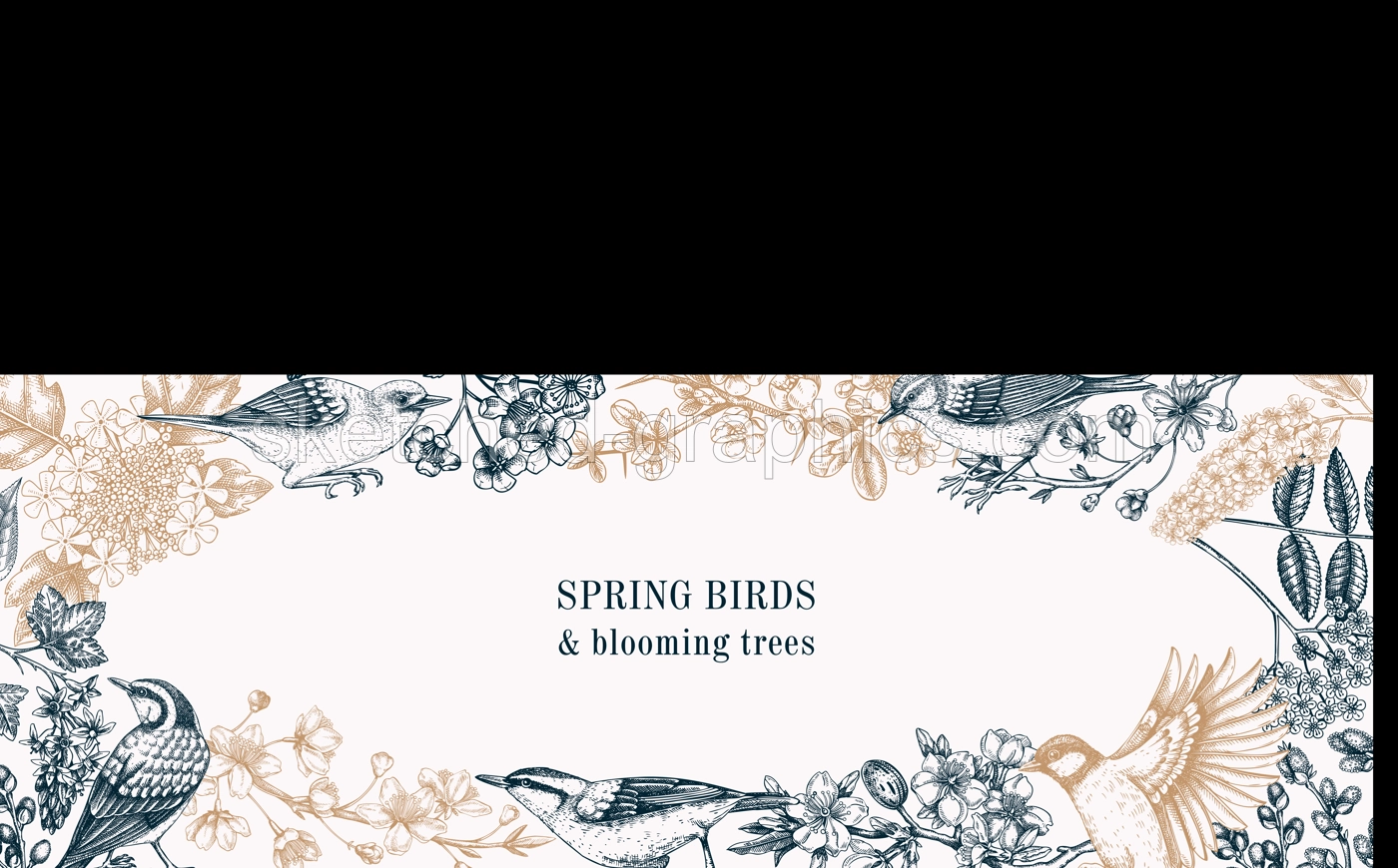 Spring garden banner template in sketched style. Vintage frame with birds, flowers, and blooming branches. Almond, willow, rowan, willow, cherry blossom floral sketches for prints or web design Illustration